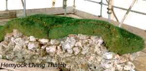 Fitting the Living Thatch
