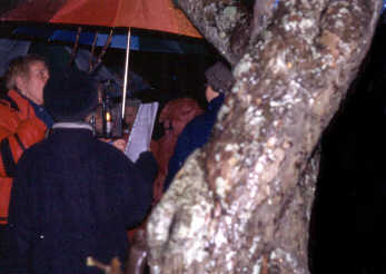 Photo of Wassailing the cider orchard